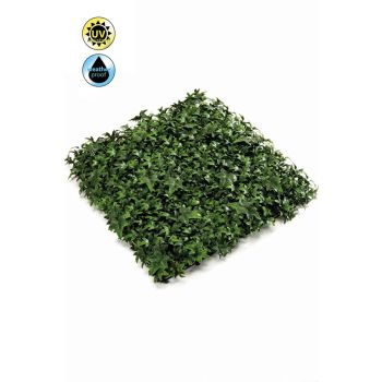 Zeleni Zid Bršljan Zeleni Panel 50X50 cm