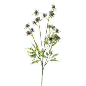Malina Prskana Ljubičasta - 45 cm