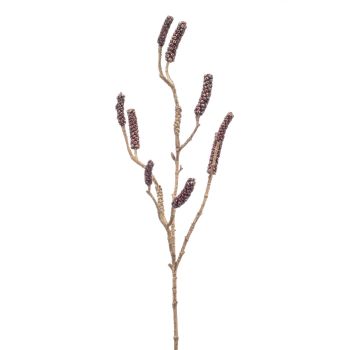 Callistemon Grana - 85 cm