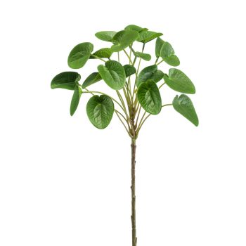 Pilea Stabljika Zelena - 50 cm