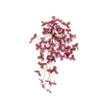 Oxalis Viseći Grm Ljubičasti - 45 cm
