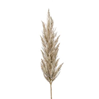 Pampas Trava Krem - 115 cm