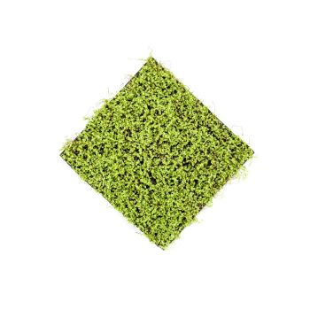 Zeleni Zid Kućna Sreća Panel 50X50 cm