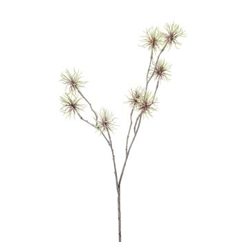 Thistle Grana Zelena - 70 cm