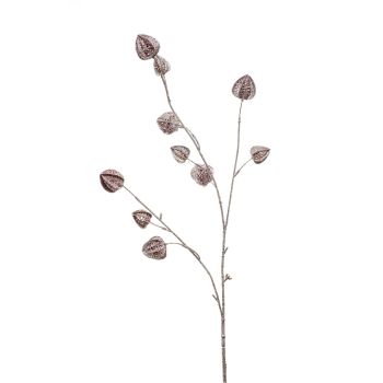 Physalis Grana - 80 cm