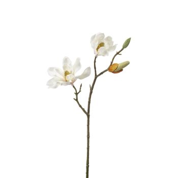Magnolija Grana Krem - 43 cm