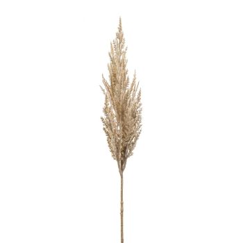 Pampas Trava Grana Krem - 80 cm