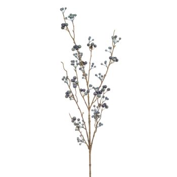 Berry Grana Plava - 100 cm