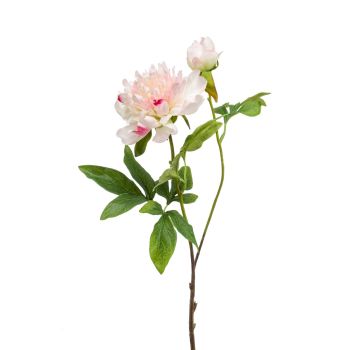 Veštački Božur Belo - Pink - 73 cm