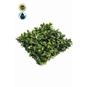 Zeleni Zid Prunus Panel 50X50 cm