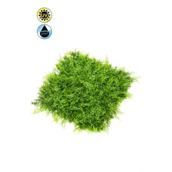 Zeleni Zid Paprat Panel 50X50 cm