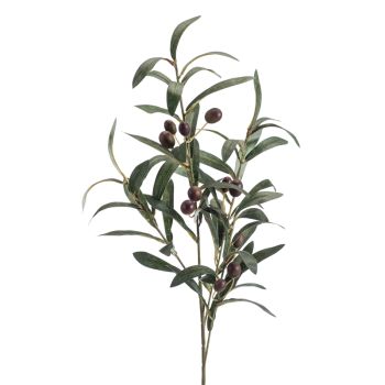 Maslina - 4 Grane - 75 cm