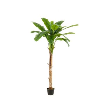 Veštačko Drvo Banana - 15 Listova U Saksiji - 180 cm