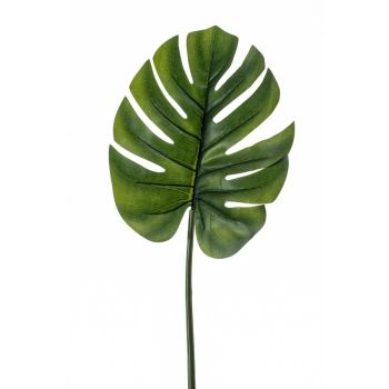 Monstera - 73 cm