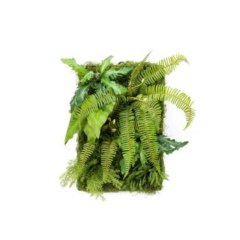 Zeleni Zid Živi Zid Panel 60X40 cm