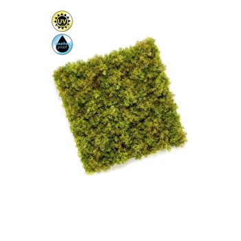 Zeleni Zid Islandski Lišaj Panel 50X50 cm