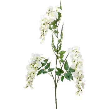 Wisteria Krem - 3 Grane - 70 cm