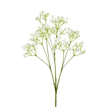 Gypsophila Grana Bela - 68 cm