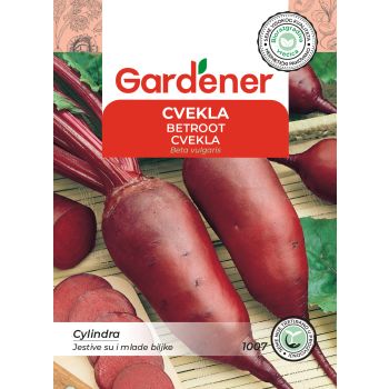 Cvekla Cylindra - Beta vulgaris