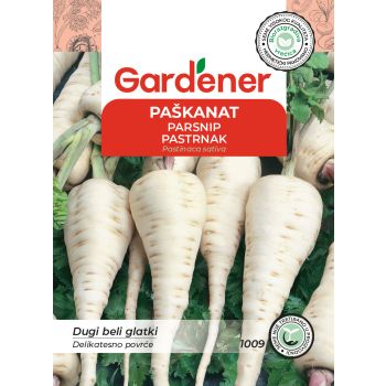 Paškanat dugi beli glatki - Pastinaca sativa