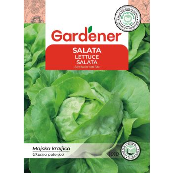 Salata majska kraljica - Lactuca sativa