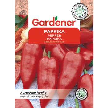 Paprika kurtovska kapija - Capsicum annuum