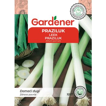 Praziluk domaći dugi - Allium porrum