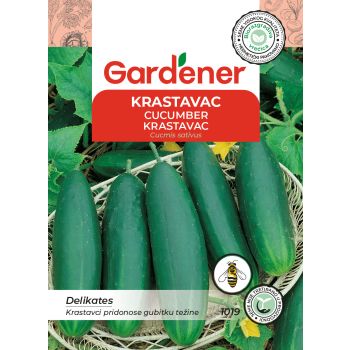 Krastavac delikates - Cucmis sativus