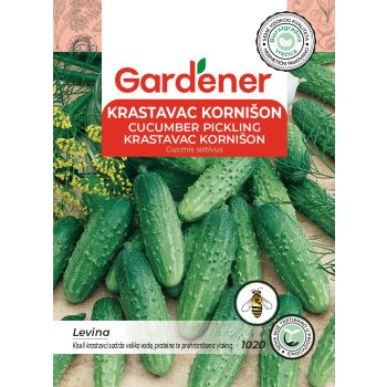 Krastavac kornišon - Cucmis sativus