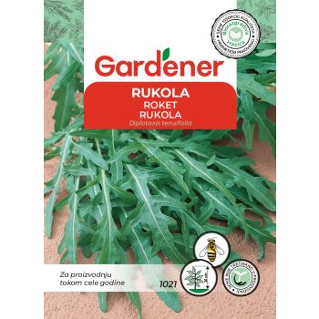 Rukola - Diplotaxis tenuifolia