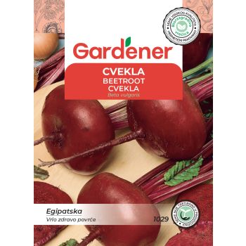 Cvekla egipatska - Beta vulgaris