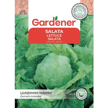 Salata Ljubljanska ledenka - Lactuca sativa