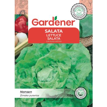 Salata Nansen - Lactuca sativa