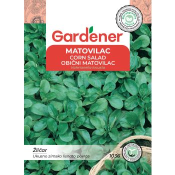 Matovilac - Valerianella locusta