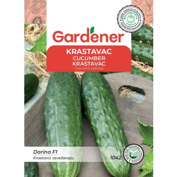 Krastavac darina - Cucumis sativus