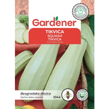 Tikvica beogradska - Cucurbita pepo