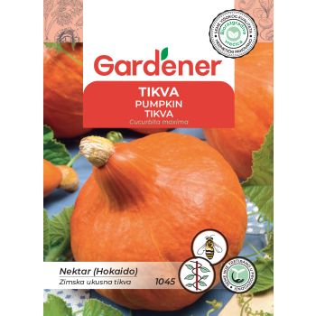 Tikva nektar - Cucurbita maxima
