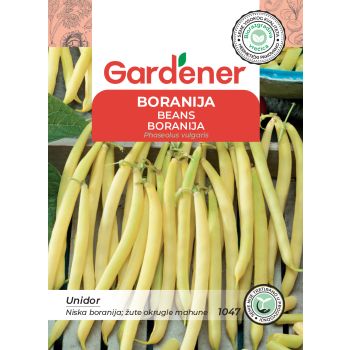 Boranija unidor - Phaseolus vulgaris