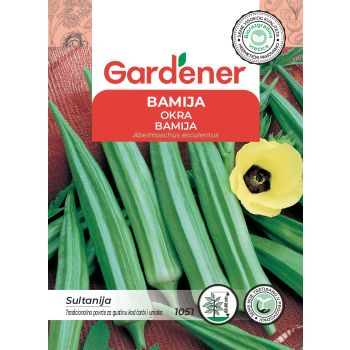 Bamija sultanija - Abelmoschus esculentus