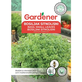 Bosiljak sitnolisni - Ocimum basilicum