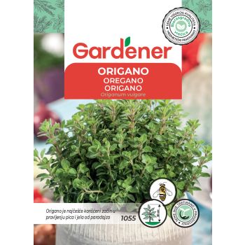 Origano - Origanum vulgare