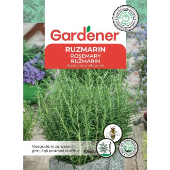 Rumarin - Rosmarinus officinalis