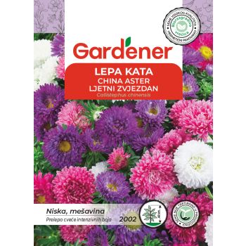 Lepa kata niska - Callistephus chinensis