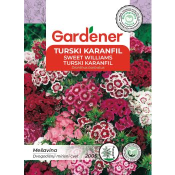 Turski karanfil - Dianthus barbatus