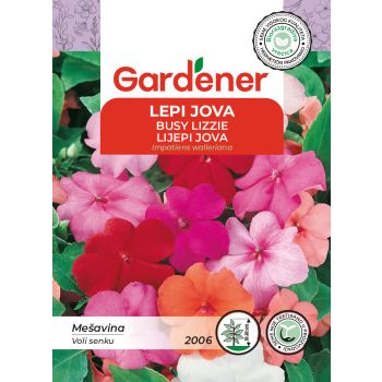 Lepi jova mešavina - Impatiens walleriana