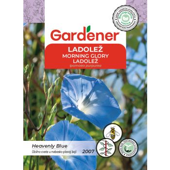 Ladolež - Ipomoea purpurea