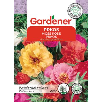 Prkos punih cvetova - Portulaca grandiflora