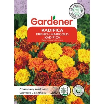 Kadifica mešavina - Tagetes patula nana