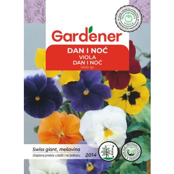 Dan i noć - Viola sp.