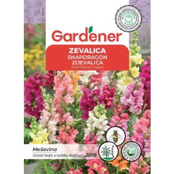 Zevalica Mešavina - Antirrhinum majus